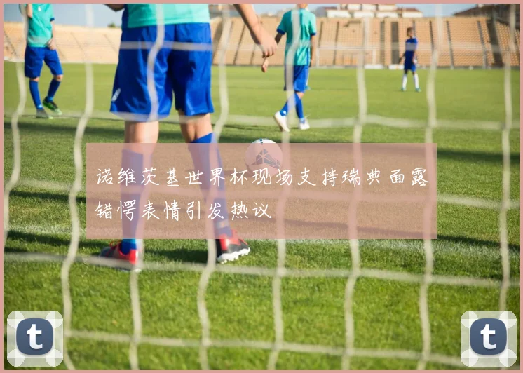 诺维茨基世界杯现场支持瑞典面露错愕表情引发热议