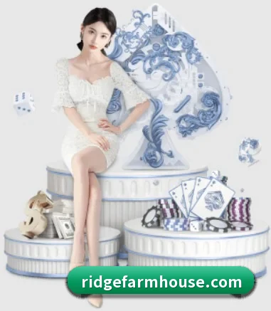 金年会网页版的方向